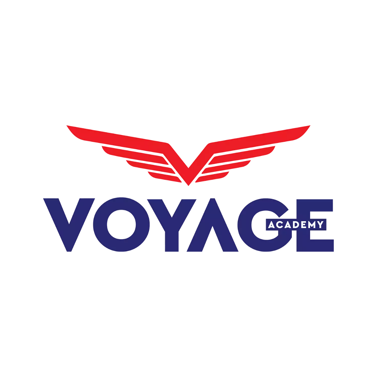 Voyage Academy